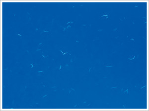 Invisible Embedded Fibers