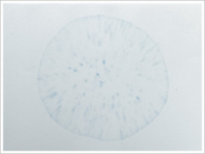 Non-polar class solvent reactivity