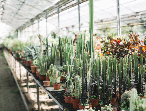 Looking for Growth? Try Horticulture Labels!